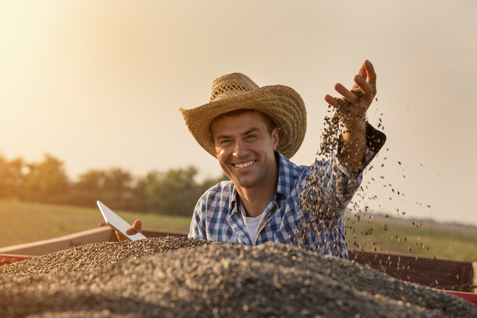 Farmer holding sunflower seeds in hand